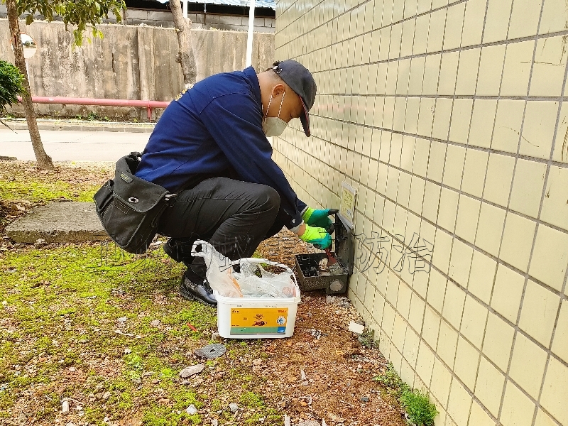 凤岗除四害公司,凤岗专业灭鼠公司,凤岗杀老鼠